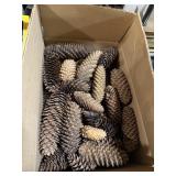 Pinecones