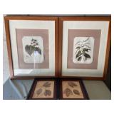 4 miscellaneous floral prints