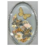 Natural History Speciman Shadowbox - SEE DESC