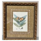 Botanical Engraving Print w/Ornate Gold Frame