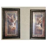 Tiger & Leopard Framed Pictures