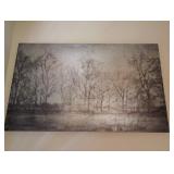 Forest picture
