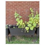 Outdoor Elevated Planter