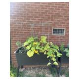Outdoor Elevated Planter