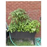 Outdoor Elevated Planter