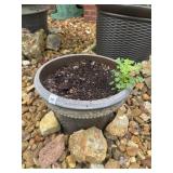 (2) Outdoor Planters