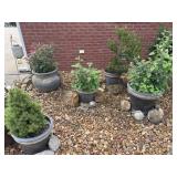 (5) Outdoor Planters