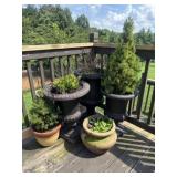 Lot of Assorted Outdoor Pots