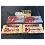 .45-70 ammunition