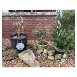 (3) Assorted Outdoor Planters