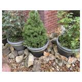 (3) Outdoor Planters