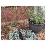 (2) Outdoor Planters