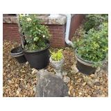 (4) Outdoor Planters