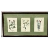 Vintage Framed Herb Cross Stitch