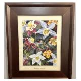 Beauty of Nature IV by Darryl Vlasak Framed