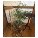 Faux Plant & Stands