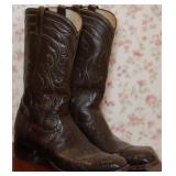 Dan Post Exotic Brown Leather Cowboy Boots