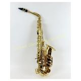 CARLTON CAS100 SAXOPHONE WITH CASE