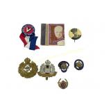 BRITISH MILITARY BADGES, PINS & MEMORABILIA