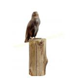 LUCY S. - HAND CARVED FALCON