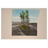 NILS UDO - COLOUR PHOTO TRANSFER ON PAPER