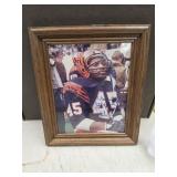 fRamed autographed photograph of Bengals Archie
