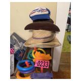 Flat of ring toss game and hats