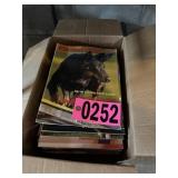 Box of dog magazines