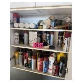 Cabinet contents: paints, wire dryer, oils,