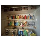 Contents of laundry shelves: laundry cleaning