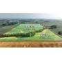 NW Ohio Farmland Auction - 71.6 acres