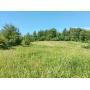 60 Acre Land & Mineral Auction