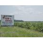 Live 84 Acre Farmland Acreage Auction 
