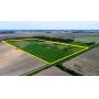 80a CRP Land Auction - Fulton Co Ohio