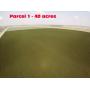 99 Acres Farmland - 2 Parcels