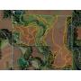 Hammersmith Farmland - 96 acres