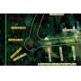 3 Lots on Fern Circle / Lake Piasa  Brighton, IL