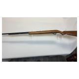 Savage arms, 22 short long or long rifle as auto