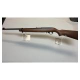 Ruger 10/22, 22 long rifle