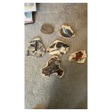 Hand printed. Animals on petrified wood and