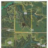 Tract 4 ~ 40 +/- acres