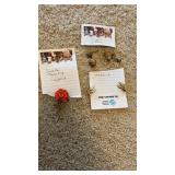 Jewelry, including earrings, necklace, and