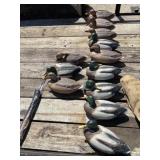 (12) Foam Floating Duck Decoys