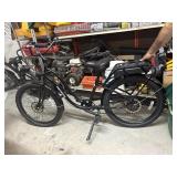PEDEGO Electric Bike