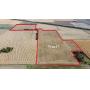 Absolute Land Auction