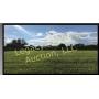 421 Wilson Park Ln ~ Granite City