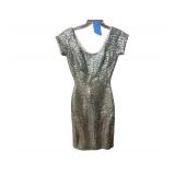 Ray or silver sequins dress