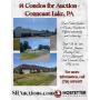 14 Condos for Auction - Conneaut Lake, PA