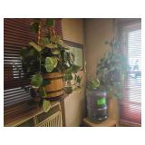 Fake Hanging Plants