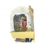 Bird Cage. Accessories Included. Approx 15" x 12"